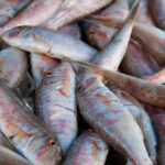 Quand on mange du poisson ?