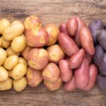 Quand planter des pommes de terre tardives ?