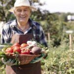 Quand récolter asperge Québec ?