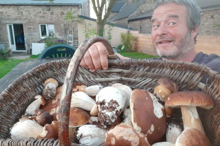 Quand sont apparus les premiers champignons ?
