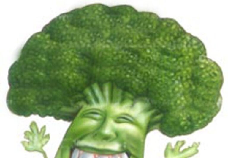 Quand un brocoli est pourri ?