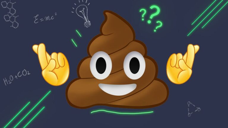 Quand une carotte n'est plus bonne ?