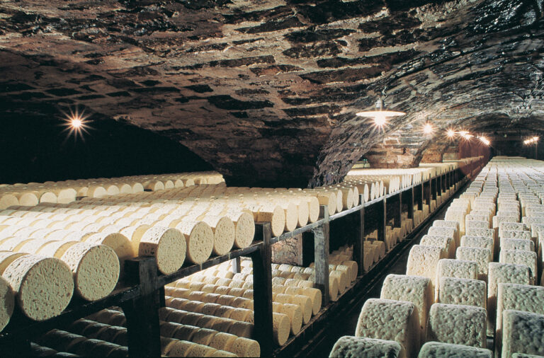 Quand visiter les caves de Roquefort ?