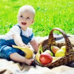 Quel Pique-nique pour bébé ?