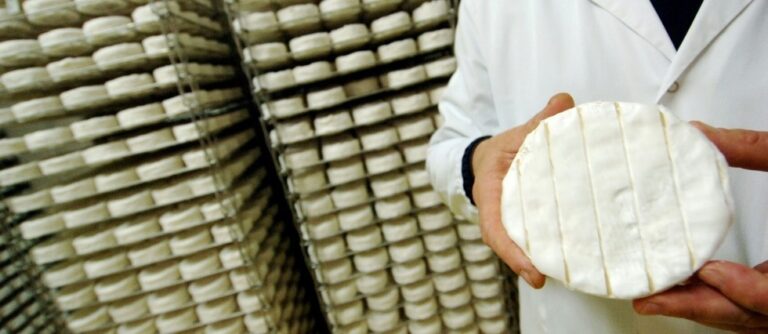 Quel âge fromage lait cru ? Quel âge fromage lait cru ?