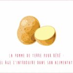 Quel âge purée pomme de terre ?