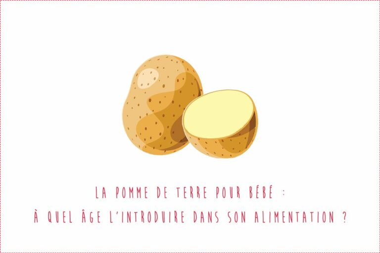 Quel âge purée pomme de terre ? Quel âge purée pomme de terre ?