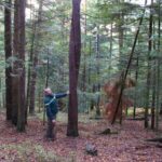 Quel alcool dans les Vosges ?