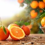 Quel aliment Peut-on manger à volonté sans grossir ?