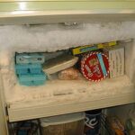 Quel aliment mettre dans un freezer ?
