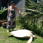 Quel animal fait la feta ?