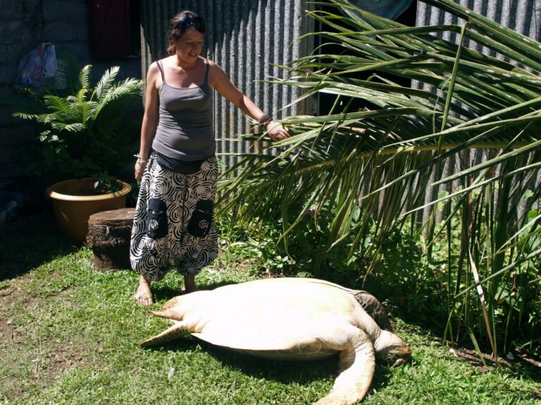 Quel animal fait la feta ? Quel animal fait la feta ?
