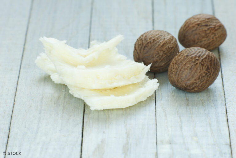 Quel beurre végétal choisir ? Quel beurre végétal choisir ?