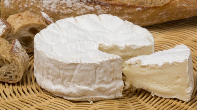Quel camembert est pasteurisé ?
