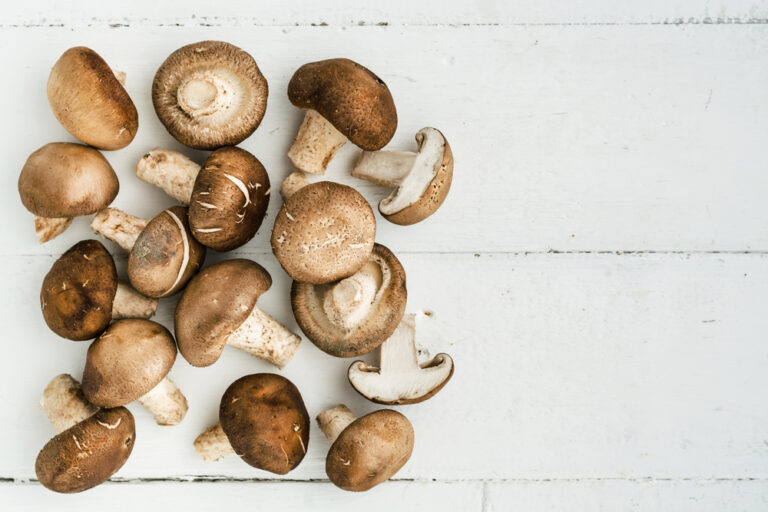 Quel champignon pour maigrir ?