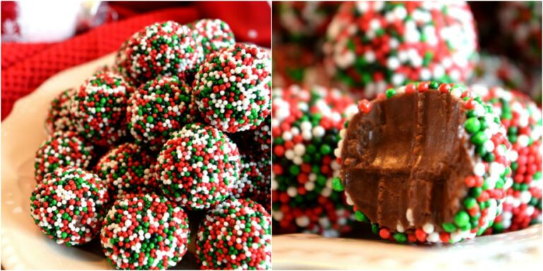 Quel dessert pour Noël ? Quel dessert pour Noël ?