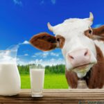 Quel est la composition du lait en poudre ?