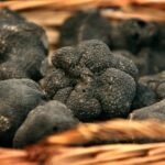 Quel est la truffe la plus rare ?