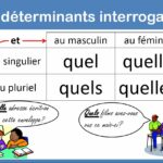 Quel est l'adjectif de dos ?