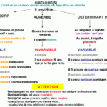 Quel est l'adjectif de famille ?