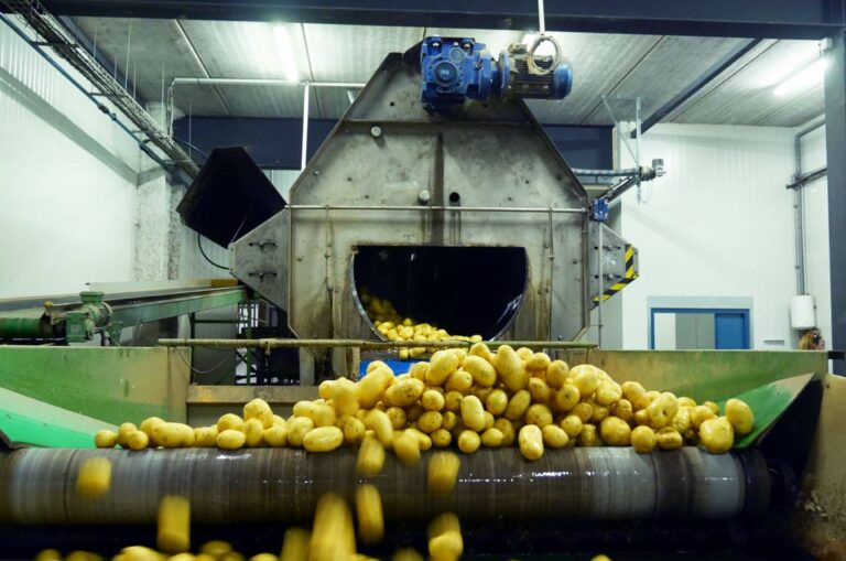 Quel est l'atout de la pomme de terre Princesse Amandine ?