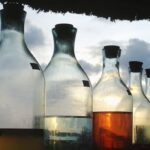 Quel est l'autre nom de l'endive ?