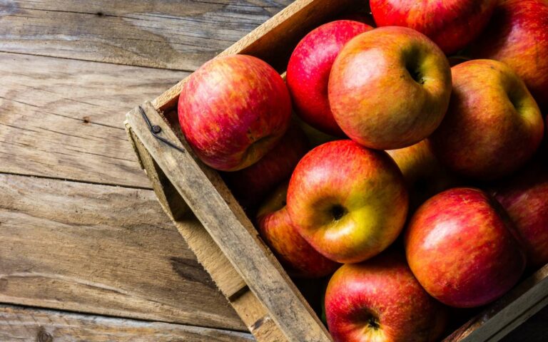 Quel est le fruit d'automne ?