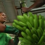 Quel est le fruit le plus consommé en été ?