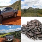 Quel est le goût de l'autruche ?