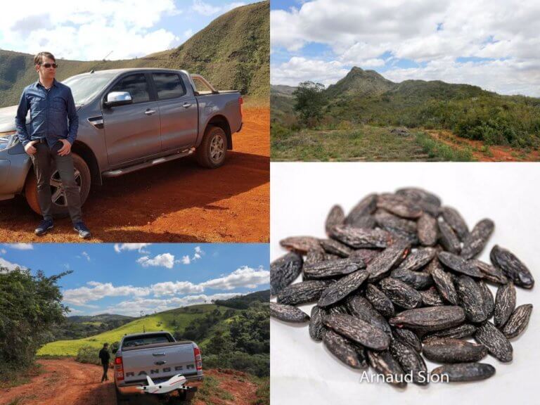 Quel est le goût de l’autruche ? Quel est le goût de l'autruche ?