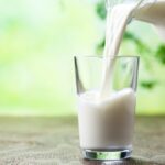 Quel est le lait animal qui se rapproche le plus du lait maternel ?