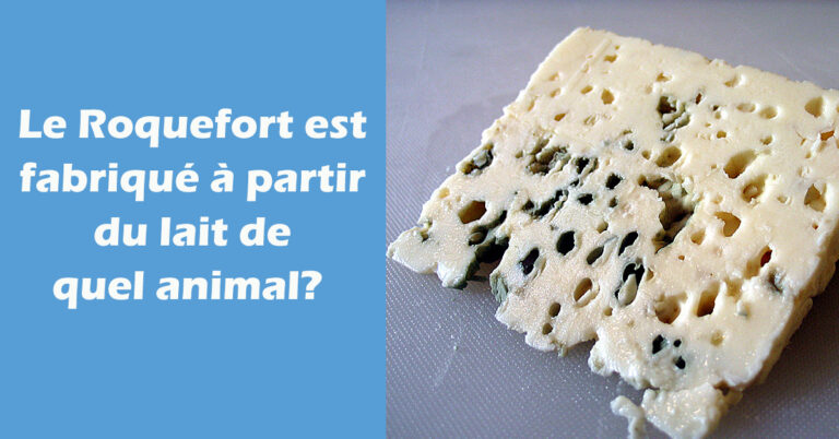 Quel est le lait du Roquefort ? Quel est le lait du Roquefort ?