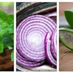 Quel est le meilleur aliment pour la peau ?