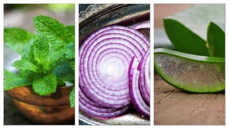 Quel est le meilleur aliment pour la peau ? Quel est le meilleur aliment pour la peau ?