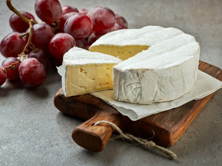Quel est le meilleur camembert au monde ?