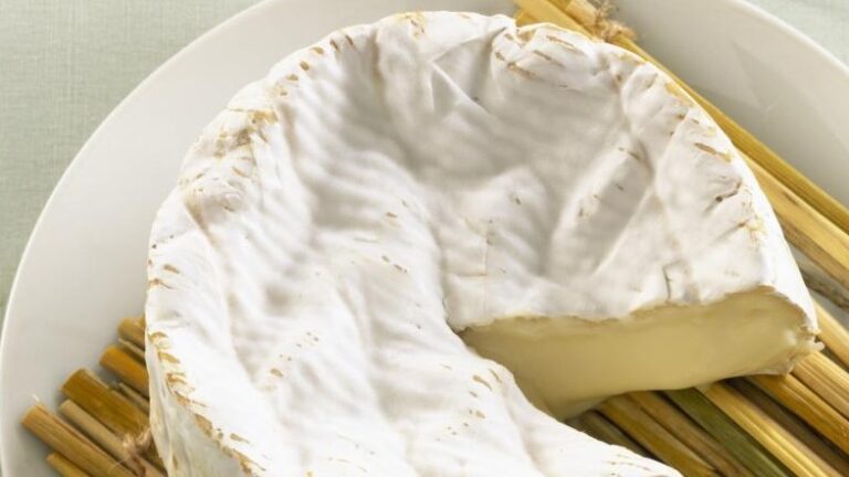 Quel est le meilleur camembert français ?