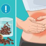 Quel est le meilleur foie pour la santé ?