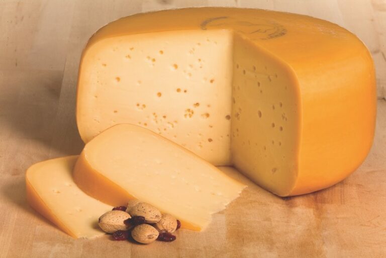 Quel est le meilleur fromage bleu ?