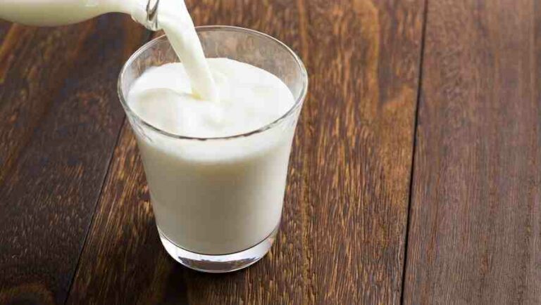 Quel est le meilleur lait pour un adulte ?