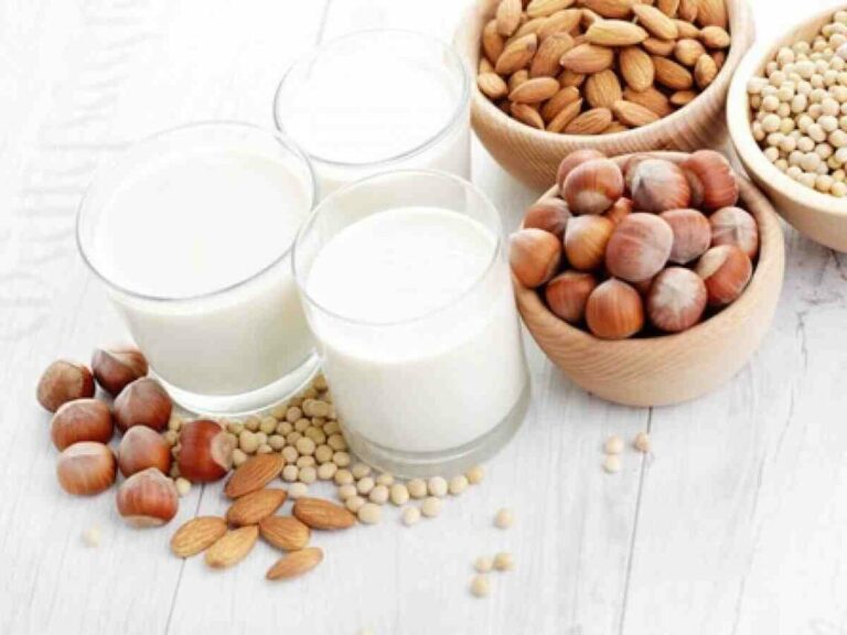 Quel est le meilleur lait végétal pour maigrir ?