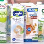 Quel est le meilleur lait végétal pour perdre du poids ?