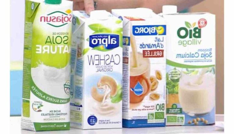 Quel est le meilleur lait végétal pour perdre du poids ?