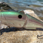 Quel est le meilleur poisson à griller ?