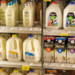 Quel est le meilleur substitut du lait ?