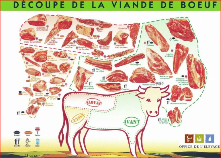 Quel est le morceau de bœuf le plus goûteux ?