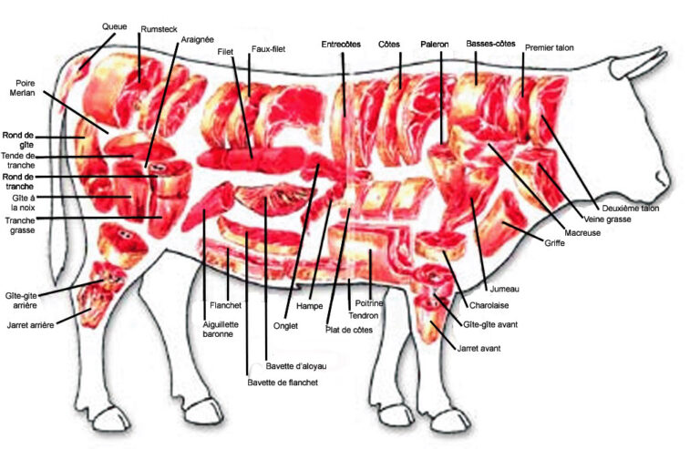 Quel est le morceau de viande de bœuf le plus tendre ?