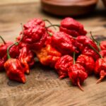 Quel est le piment le plus cher du monde ?