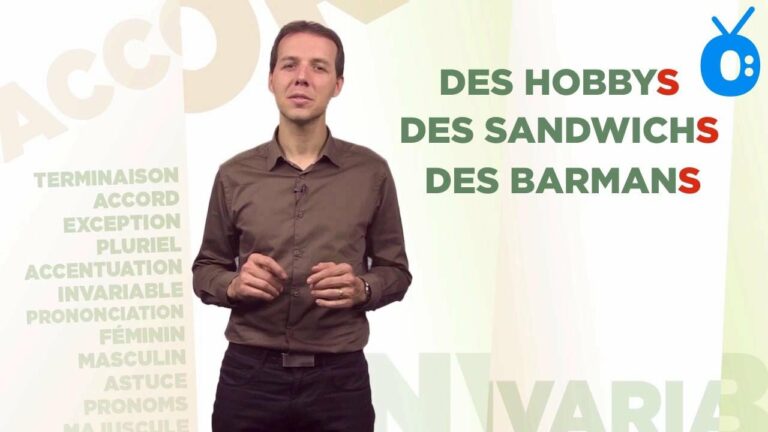 Quel est le pluriel de VERMICELLE ? Quel est le pluriel de VERMICELLE ?