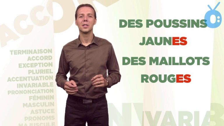 Quel est le pluriel de poitrail ?