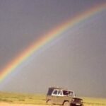 Quel est le pluriel du mot cadeau ?